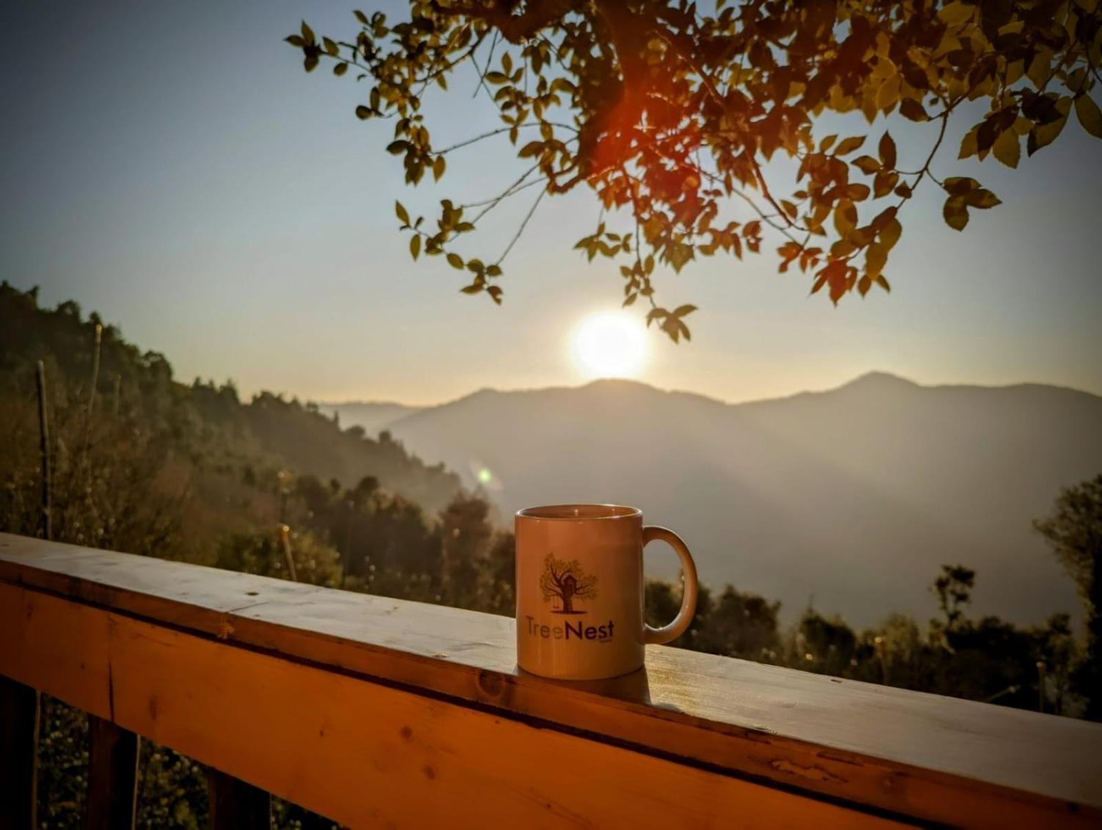 Tree Nest Resort By The Hfe Jubar Dış mekan fotoğraf